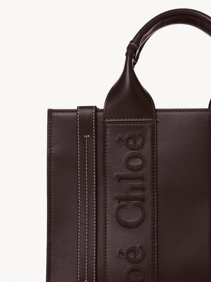 Bolso Tote Chloe Small Woody Azules | CHE-SR13375