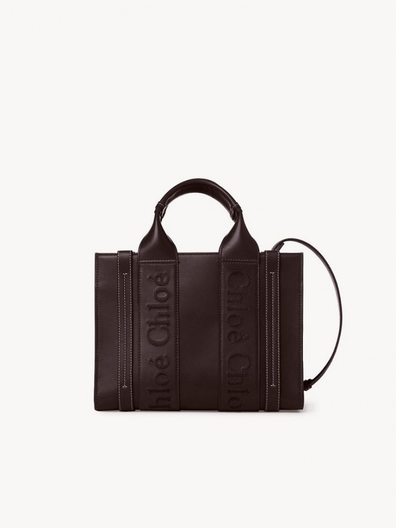 Bolso Tote Chloe Small Woody Azules | CHE-SR13375