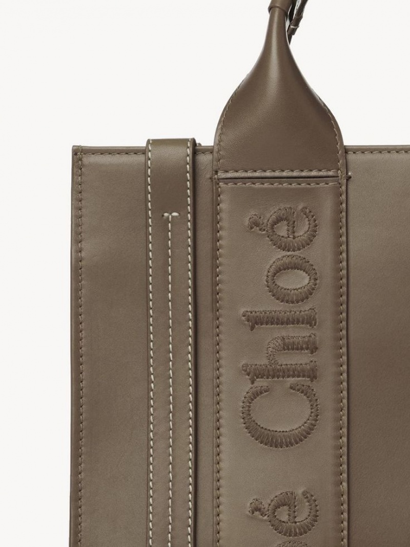 Bolso Tote Chloe Small Woody Verdes | CHE-SR13339