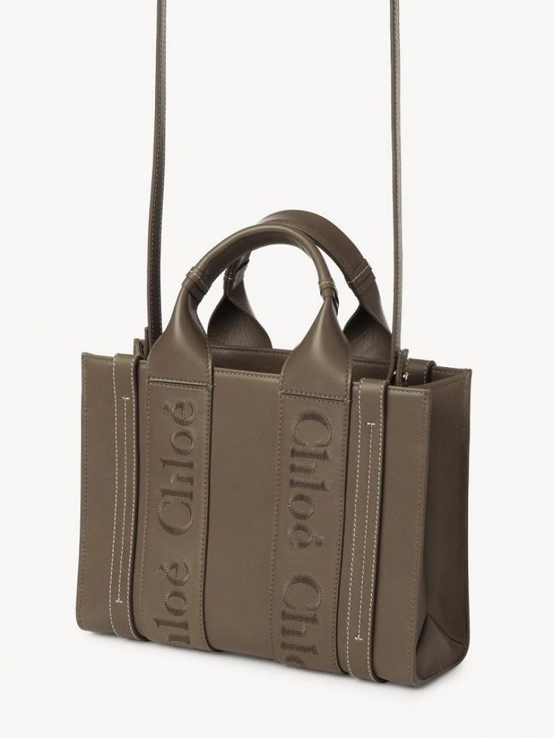 Bolso Tote Chloe Small Woody Verdes | CHE-SR13339