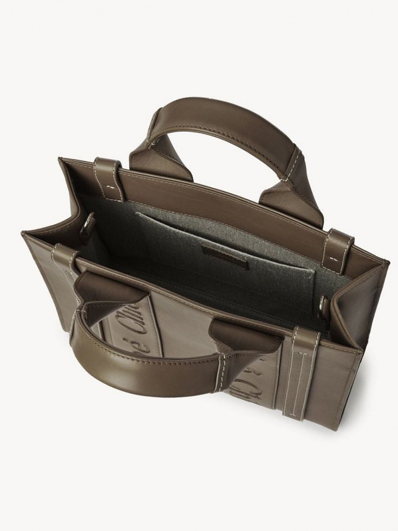 Bolso Tote Chloe Small Woody Verdes | CHE-SR13339