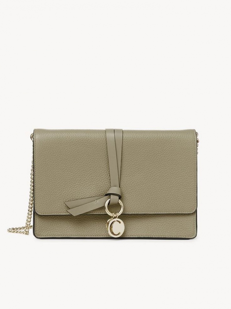 Bolsos Cruzados Chloe Alphabet Clutch Verdes | CHE-SR13481