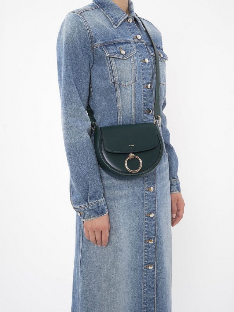 Bolsos Cruzados Chloe Arlène Small Crossbody Verdes | CHE-SR13463