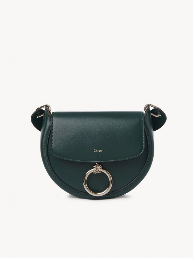 Bolsos Cruzados Chloe Arlène Small Crossbody Verdes | CHE-SR13463
