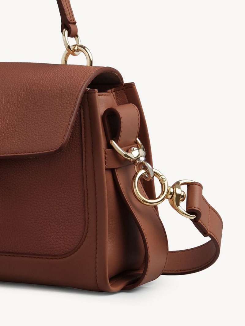 Bolsos Cruzados Chloe Mini Tess Day Marrom | CHE-SR13479