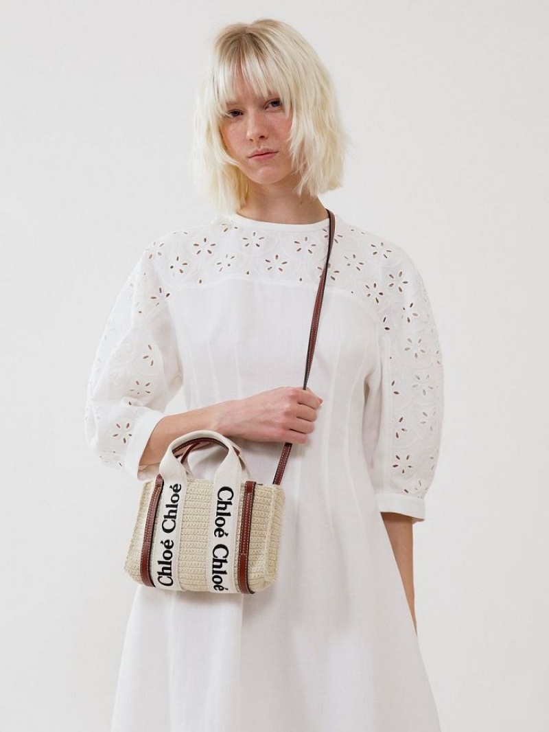 Bolsos Cruzados Chloe Mini Woody Marrom Beige | CHE-SR13585