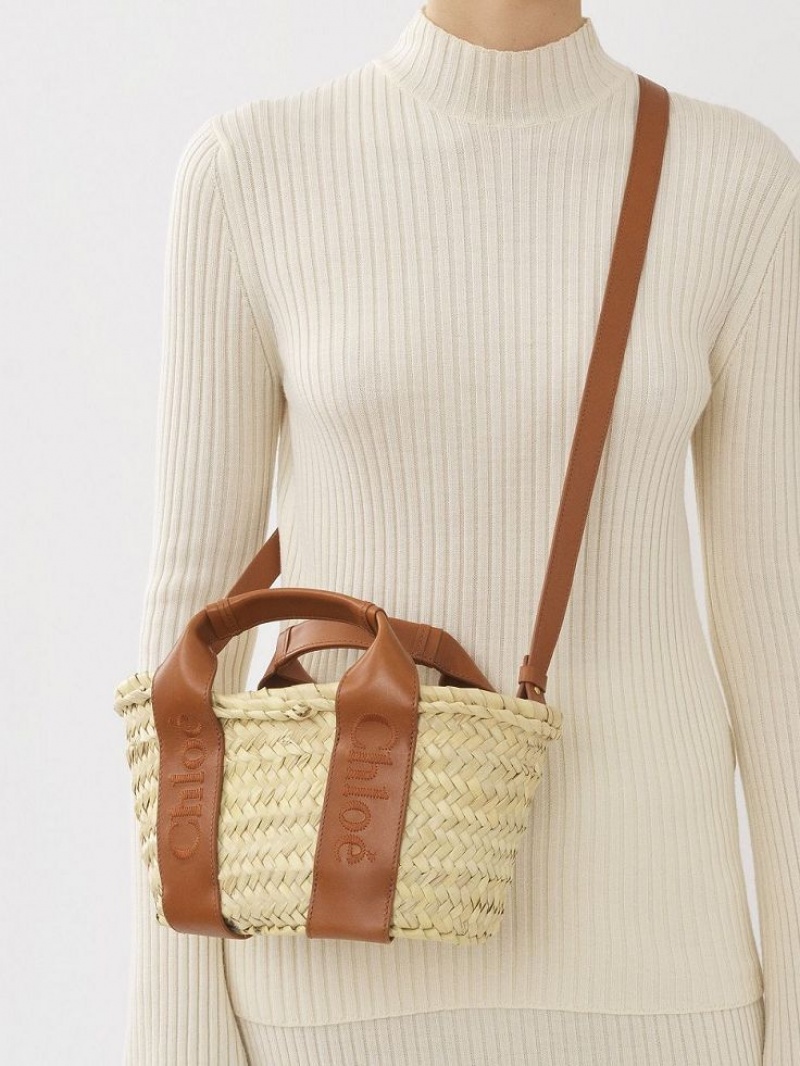 Bolsos Cruzados Chloe Sense Small Basket Marrom | CHE-SR13518