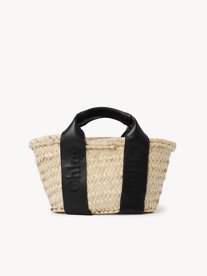 Bolsos Cruzados Chloe Sense Small Basket Negros | CHE-SR13519
