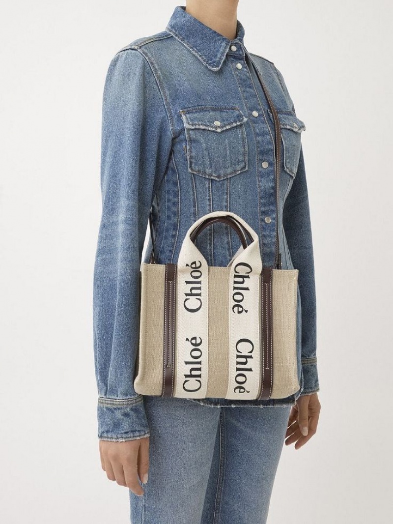 Bolsos Cruzados Chloe Small Woody Azules | CHE-SR13626