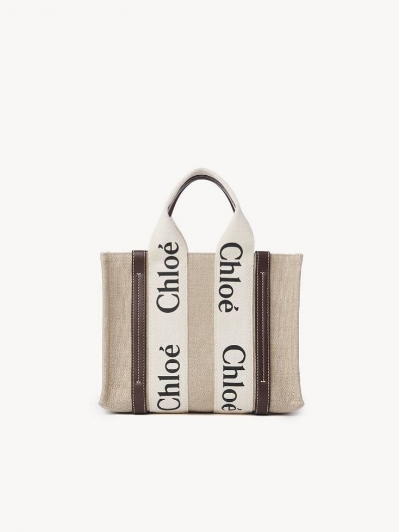 Bolsos Cruzados Chloe Small Woody Azules | CHE-SR13626