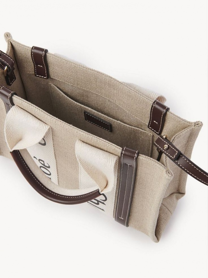 Bolsos Cruzados Chloe Small Woody Azules | CHE-SR13626