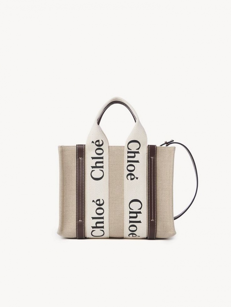 Bolsos Cruzados Chloe Small Woody Azules | CHE-SR13626