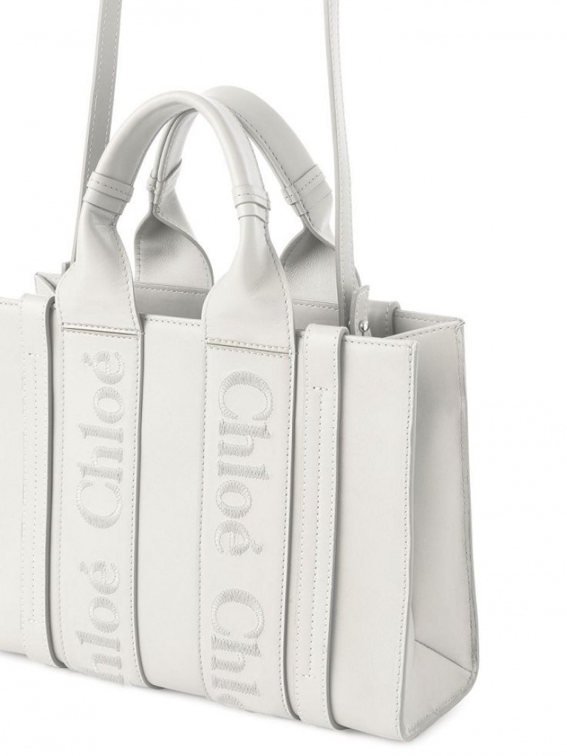 Bolsos Cruzados Chloe Small Woody Blancos | CHE-SR13541