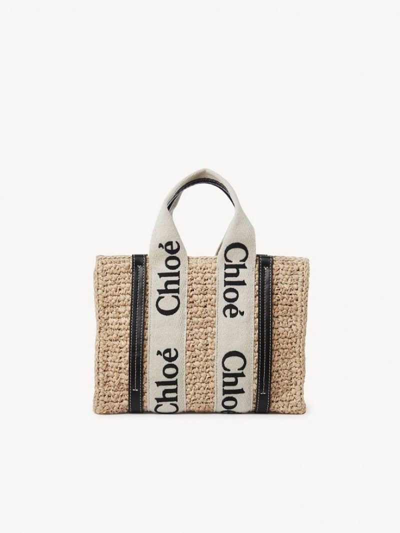 Bolsos Cruzados Chloe Small Woody Marrom | CHE-SR13625