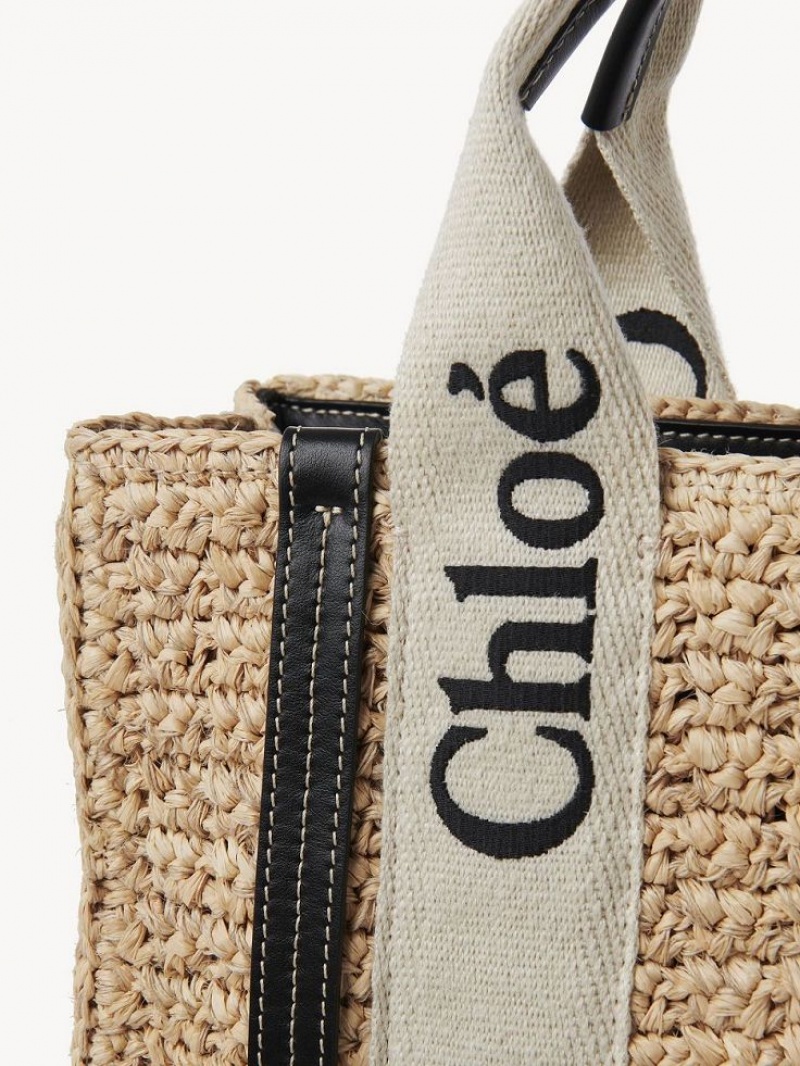Bolsos Cruzados Chloe Small Woody Marrom | CHE-SR13625