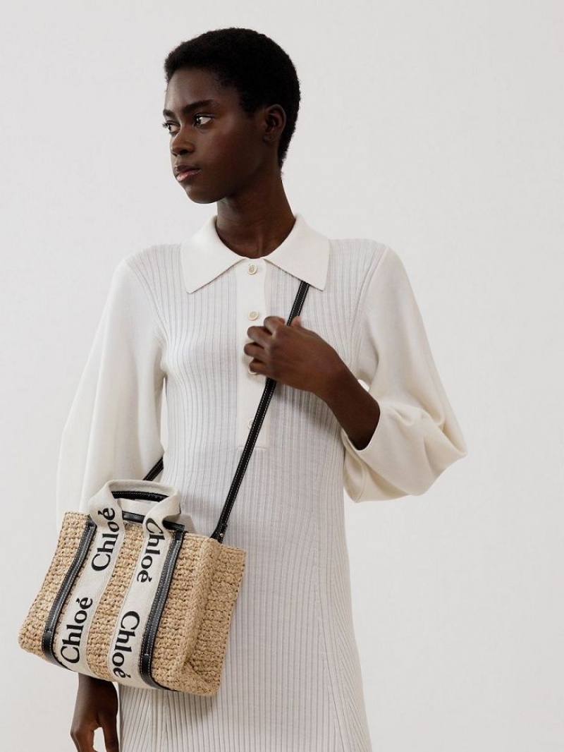 Bolsos Cruzados Chloe Small Woody Marrom | CHE-SR13625