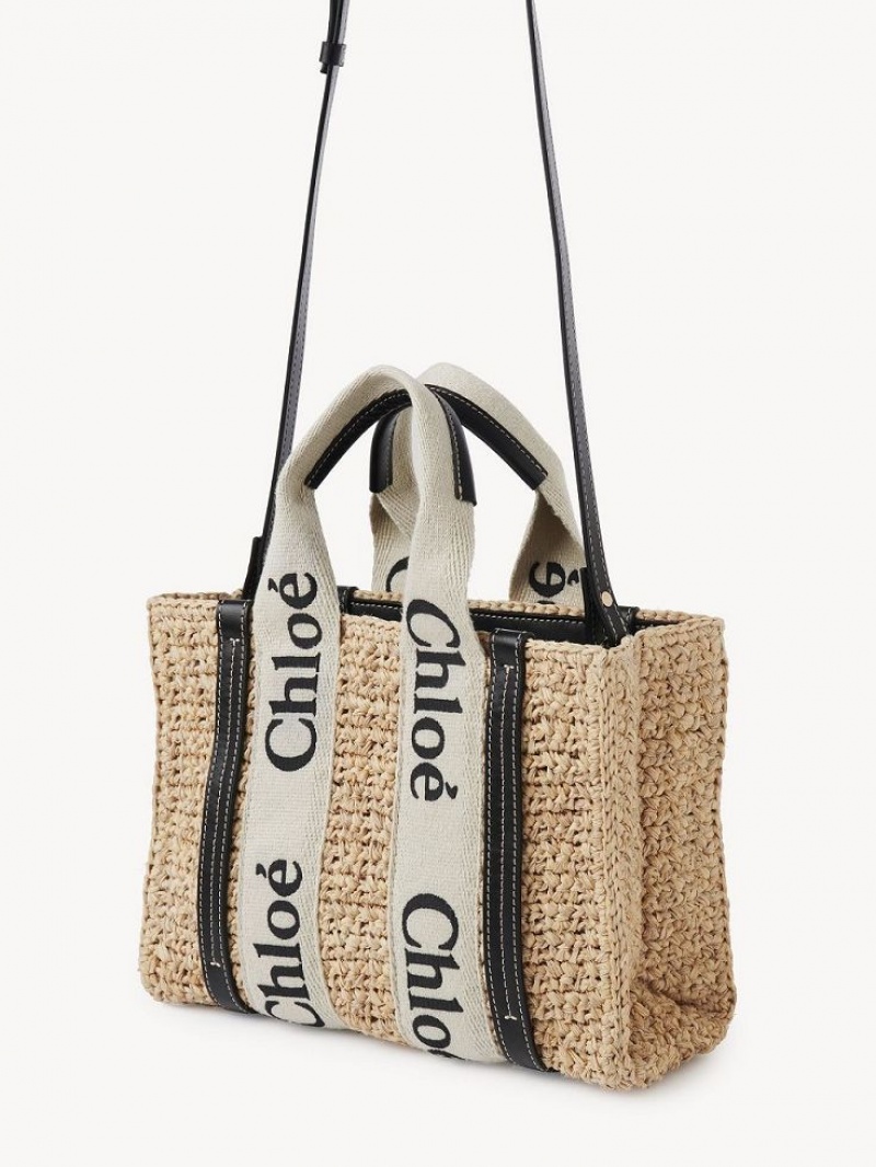 Bolsos Cruzados Chloe Small Woody Marrom | CHE-SR13625