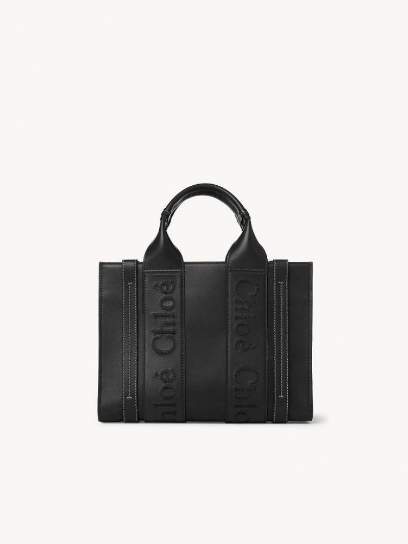 Bolsos Cruzados Chloe Small Woody Negros | CHE-SR13536