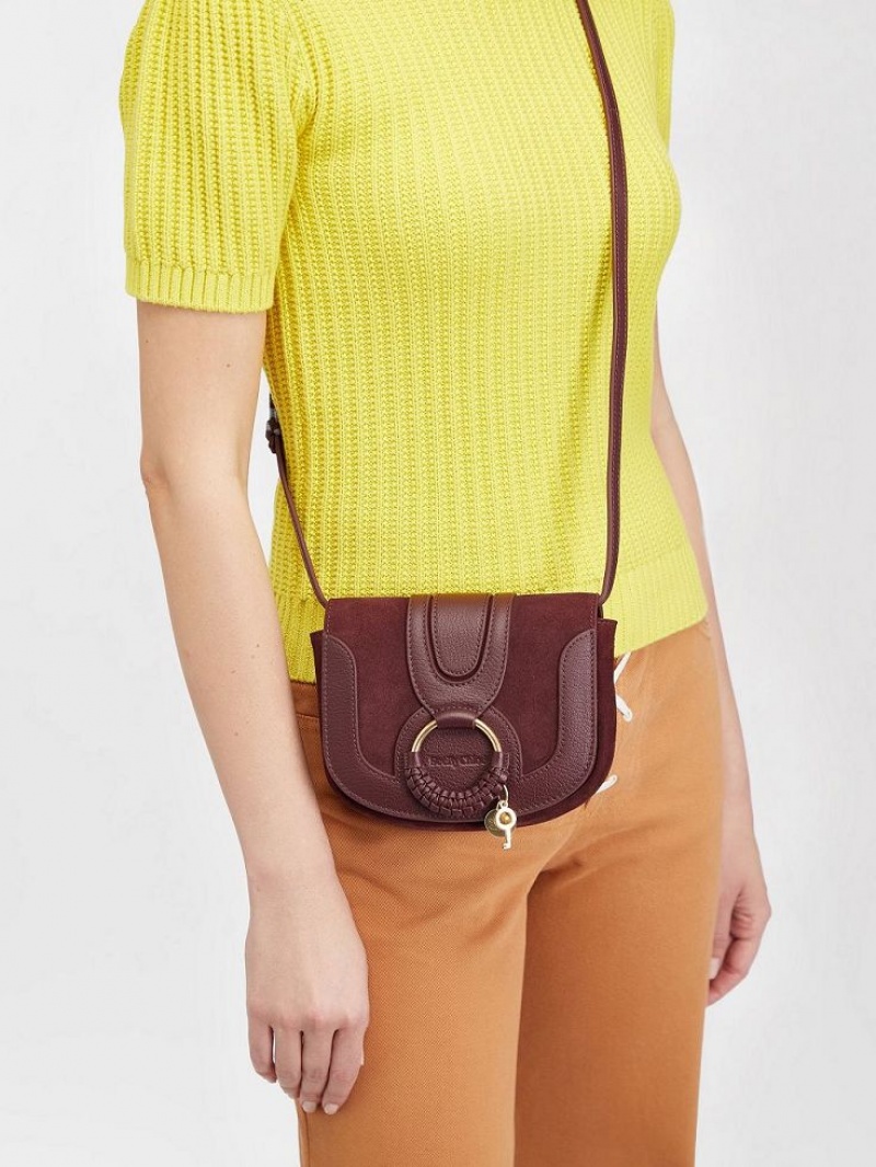 Bolsos Mini Chloe Hana Marrom | CHE-SR14725