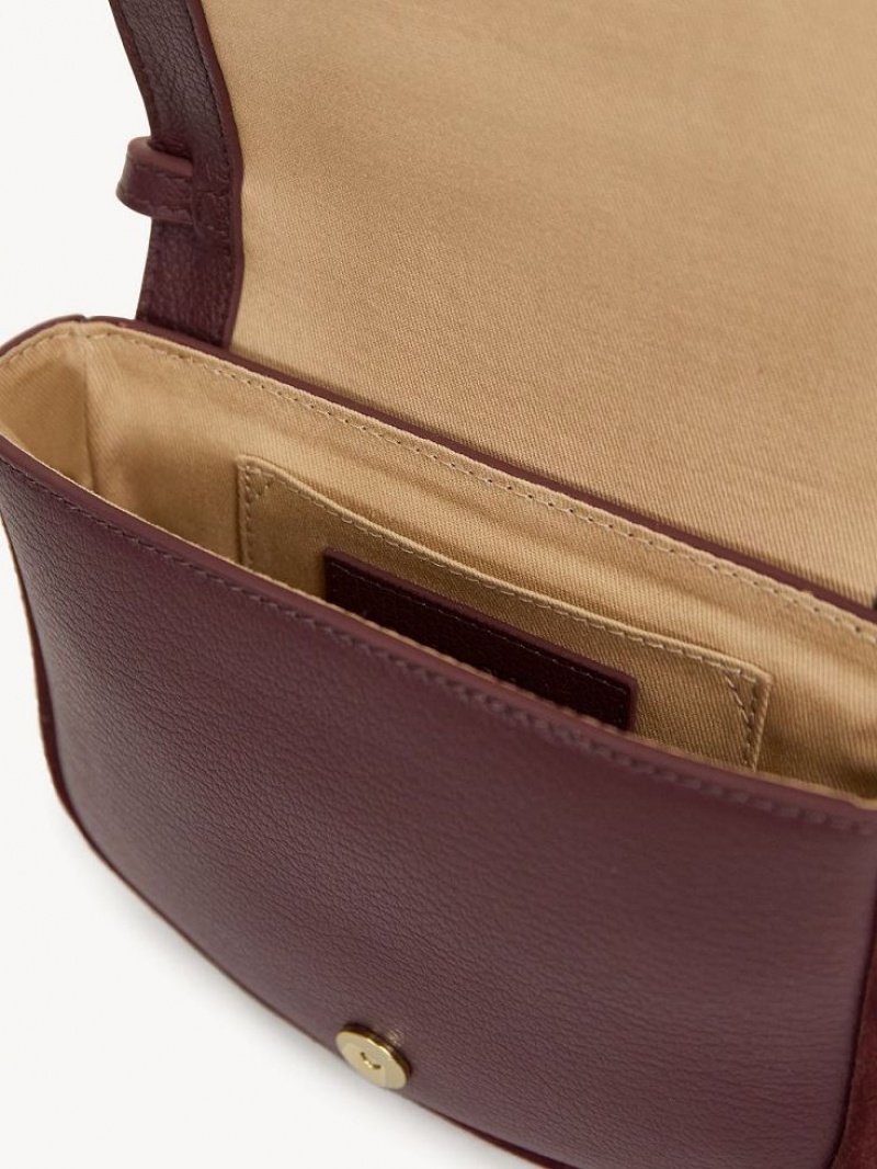 Bolsos Mini Chloe Hana Marrom | CHE-SR14725