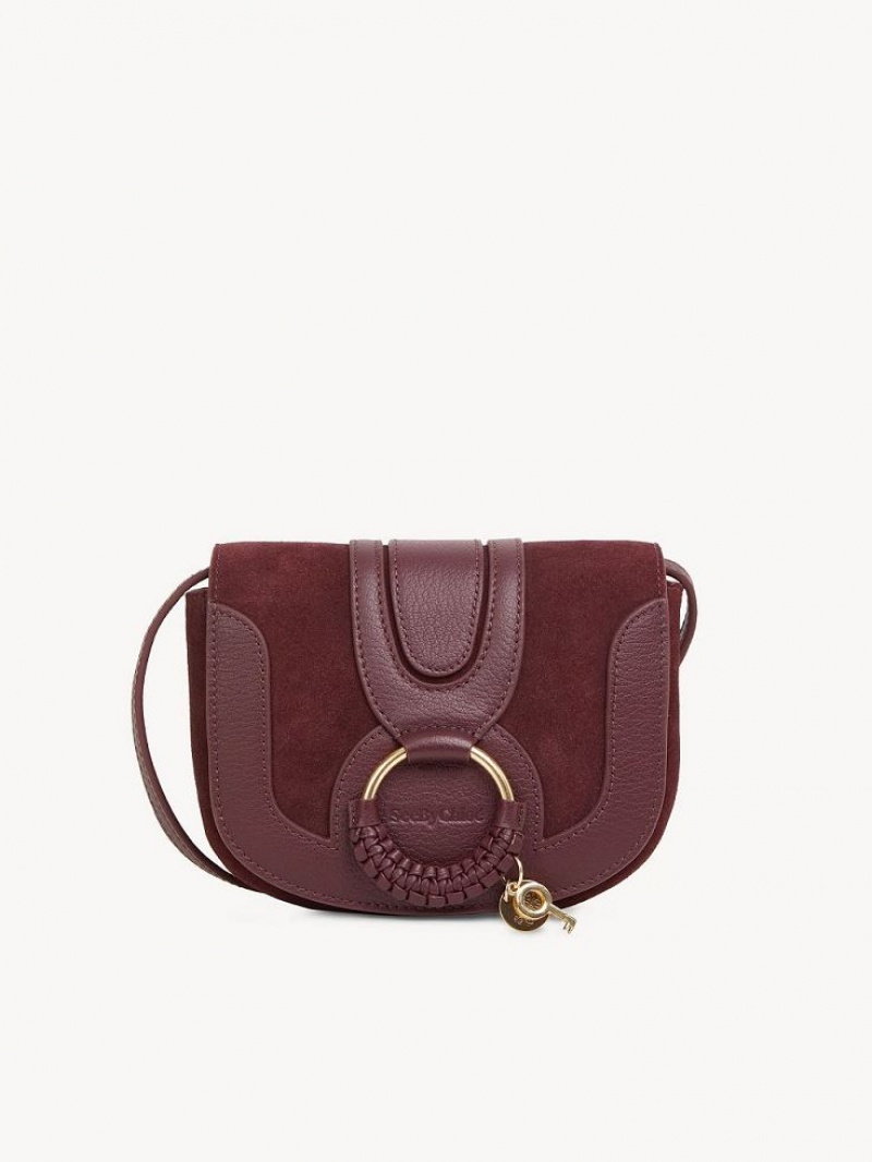 Bolsos Mini Chloe Hana Marrom | CHE-SR14725