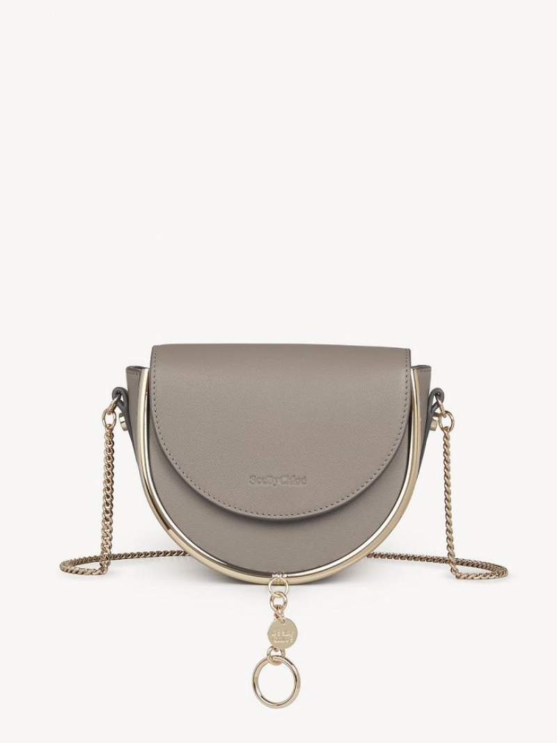 Bolsos Mini Chloe Mara Evening Grises | CHE-SR14735