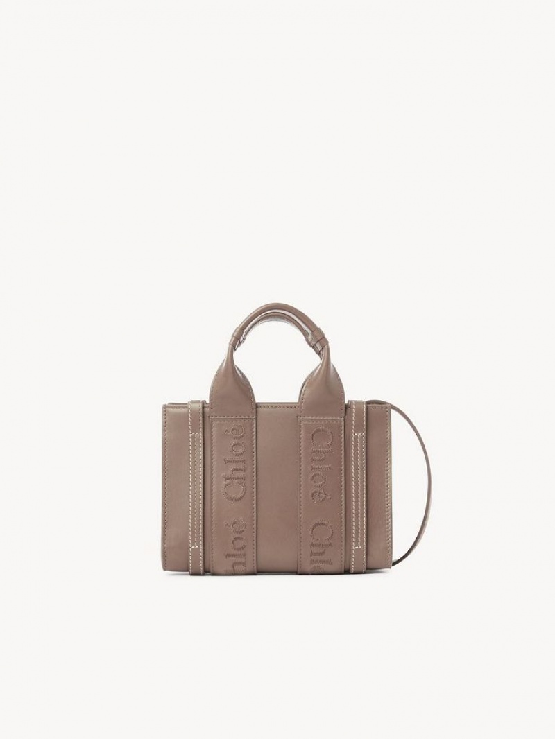 Bolsos Mini Chloe Woody Tote 1 Marrom | CHE-SR13728