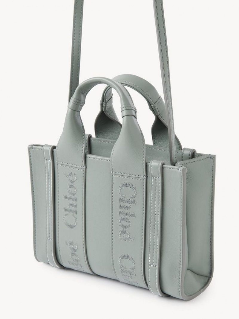 Bolsos Mini Chloe Woody Tote 1 Verdes | CHE-SR13697