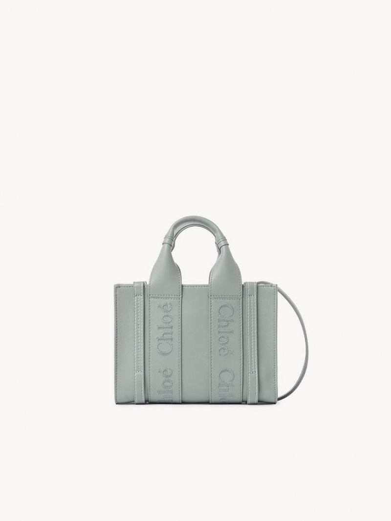 Bolsos Mini Chloe Woody Tote 1 Verdes | CHE-SR13697