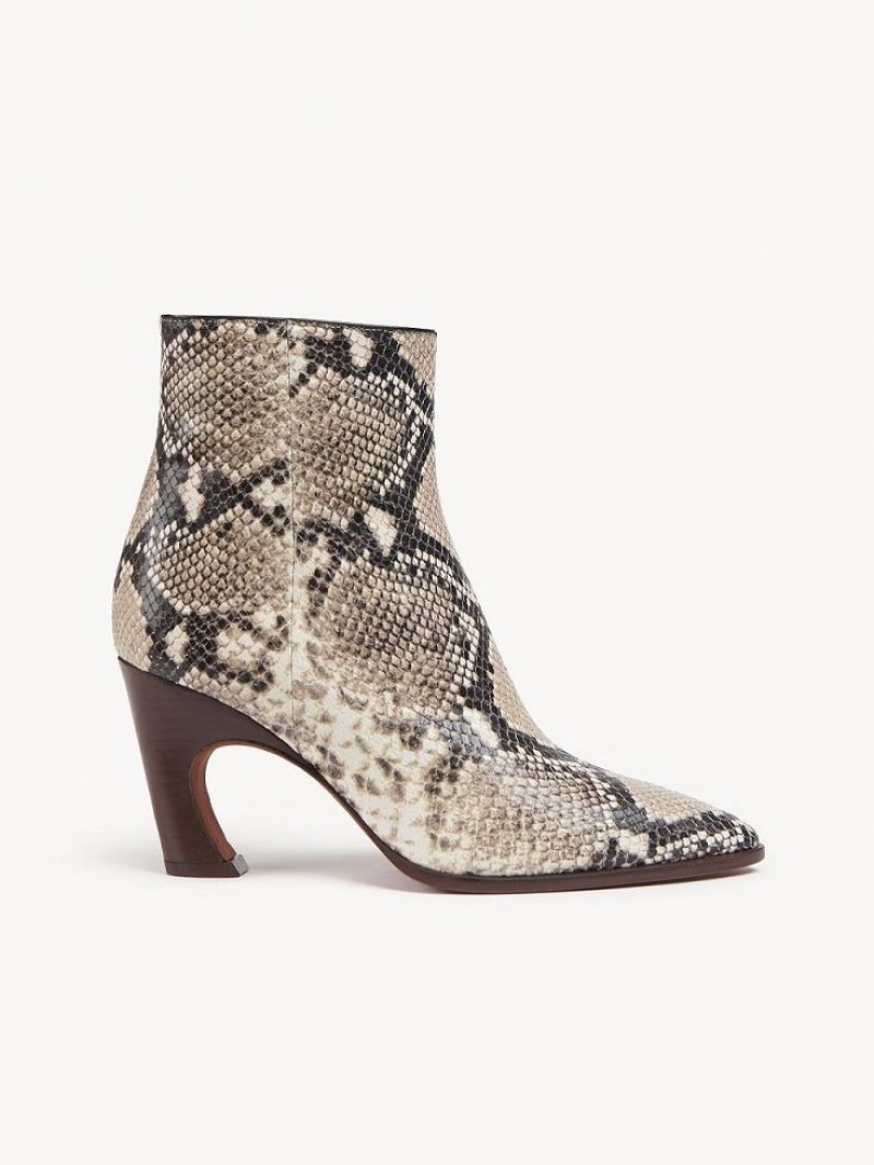 Botines Chloe Oli Grises | CHE-SR14220
