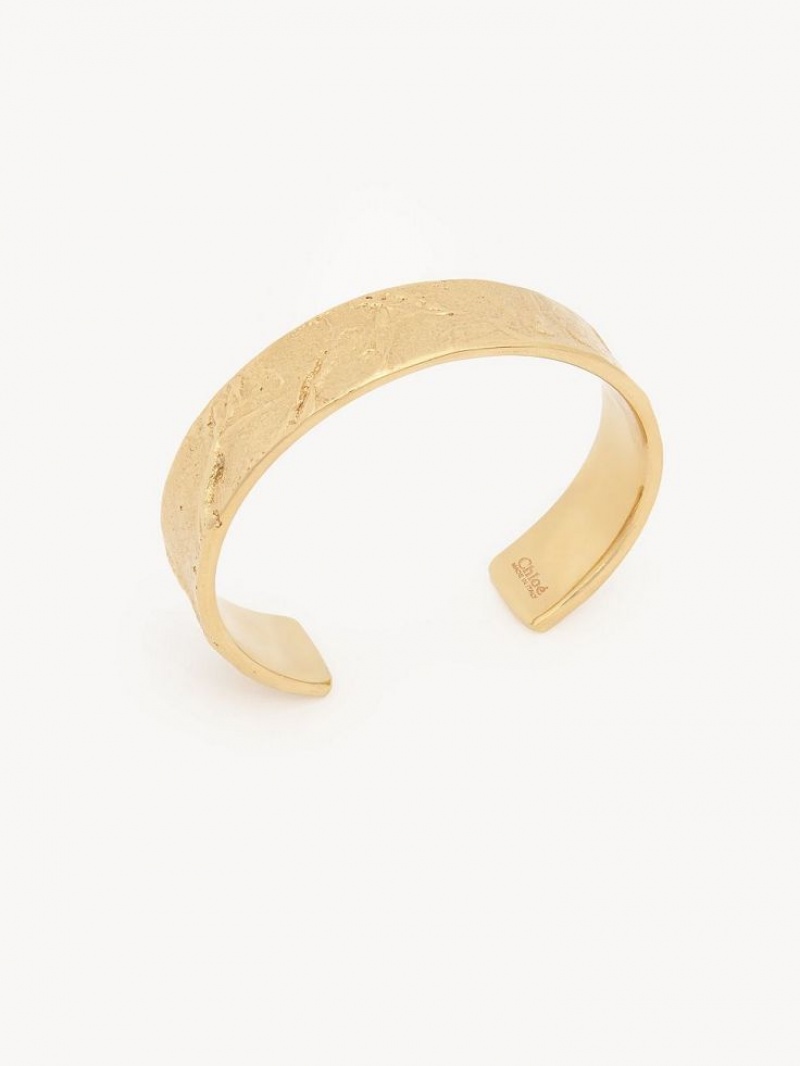 Brazaletes Chloe Penelope Dorados Claro | CHE-SR14462