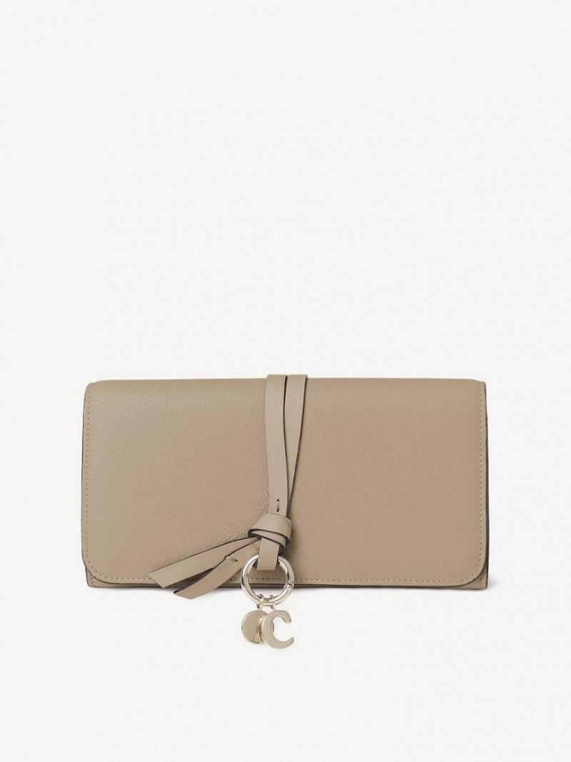 Carteras Grandes Chloe Alphabet With Flap Marrom | CHE-SR14306