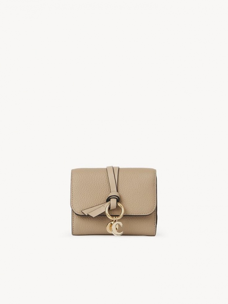 Carteras Pequeñas Chloe Alphabet Small Tri-fold Marrom | CHE-SR14294