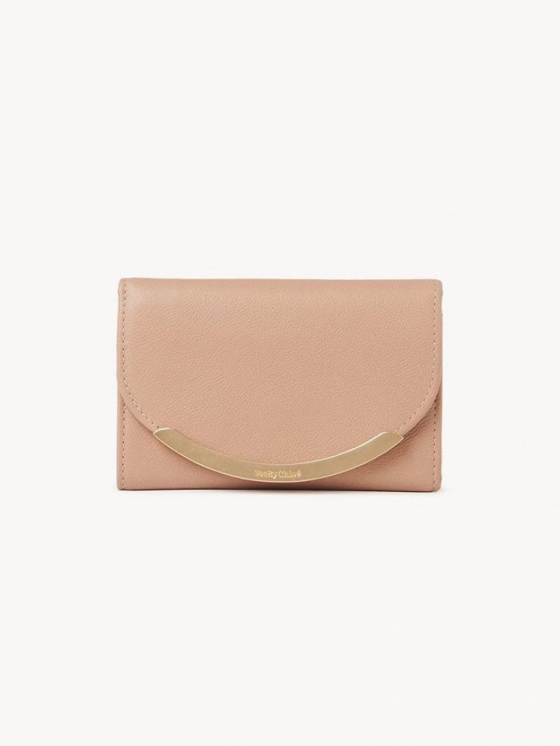 Carteras Pequeñas Chloe Lizzie Medium Cafes Rosas | CHE-SR14897