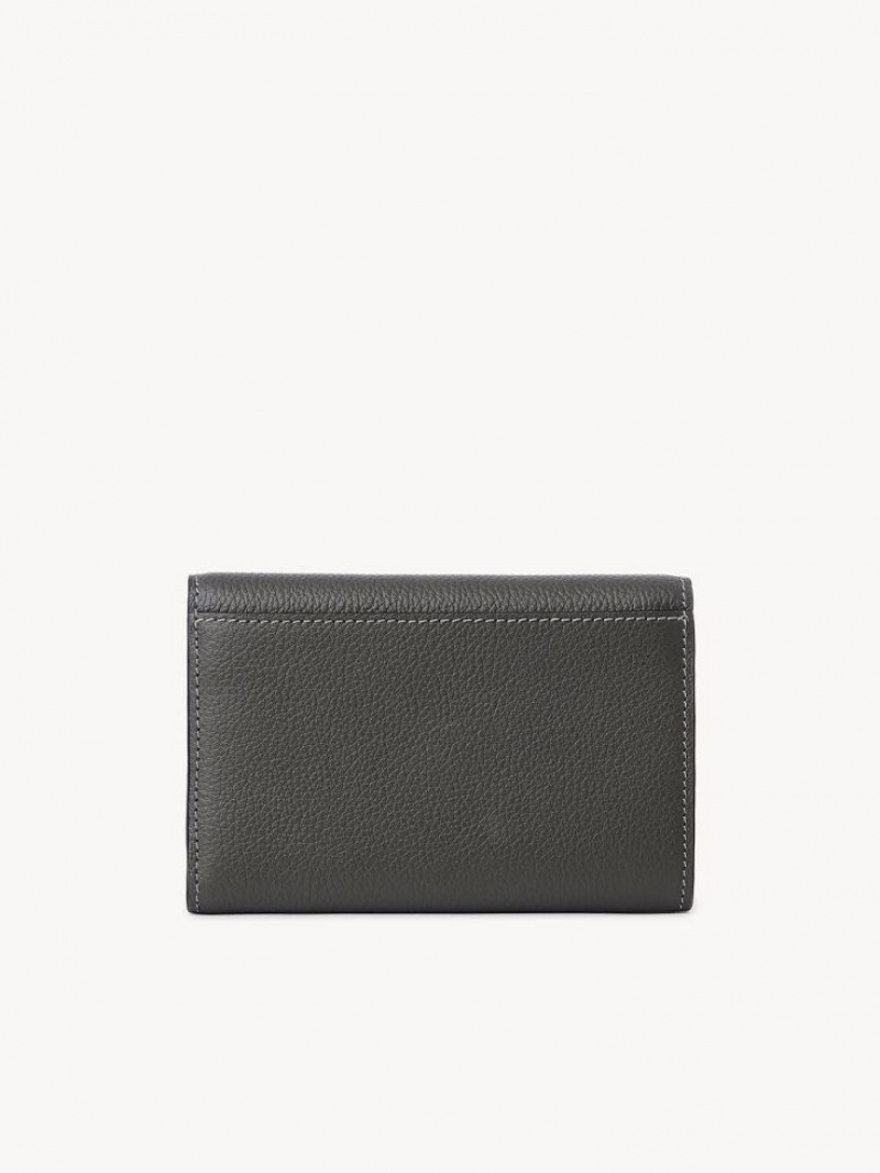 Carteras Pequeñas Chloe Marcie Medium Grises | CHE-SR14286