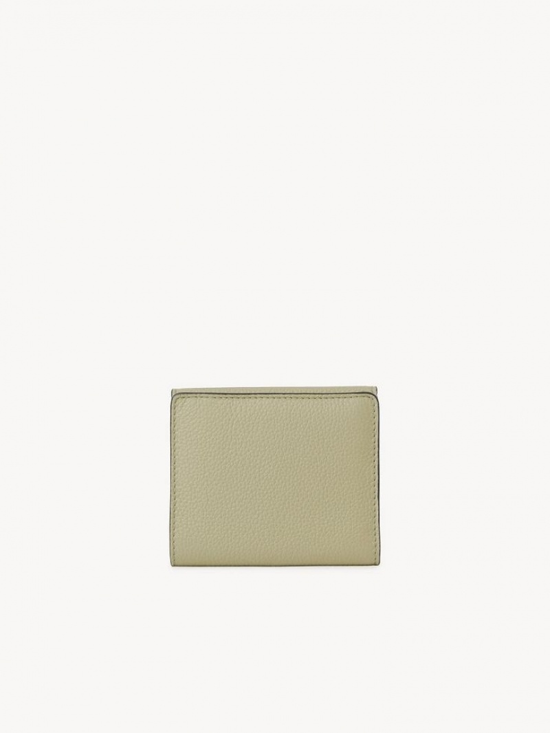 Carteras Pequeñas Chloe Marcie Square Verdes | CHE-SR14279