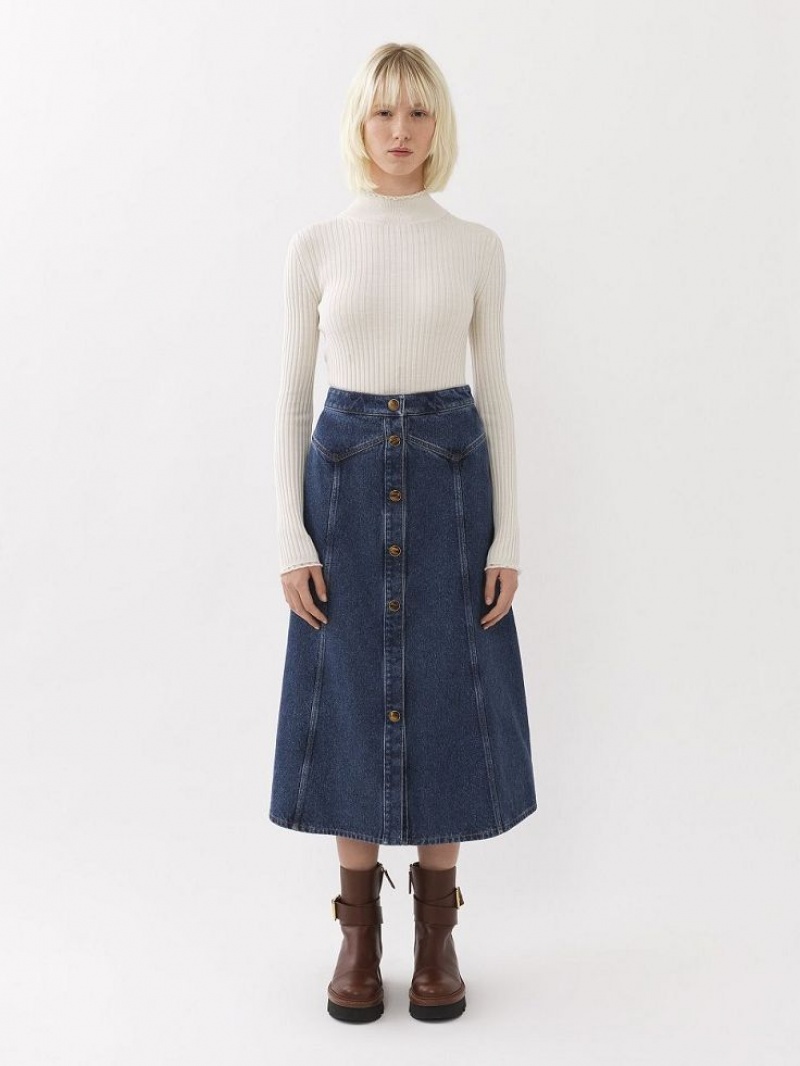 Falda Chloe Flared Mid-length Azules | CHE-SR14085