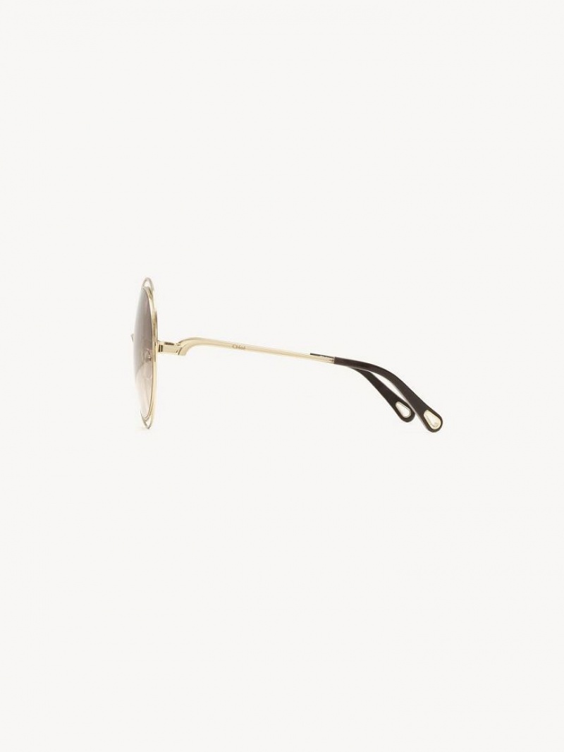 Lentes de Sol Chloe Carlina Marrom | CHE-SR14543