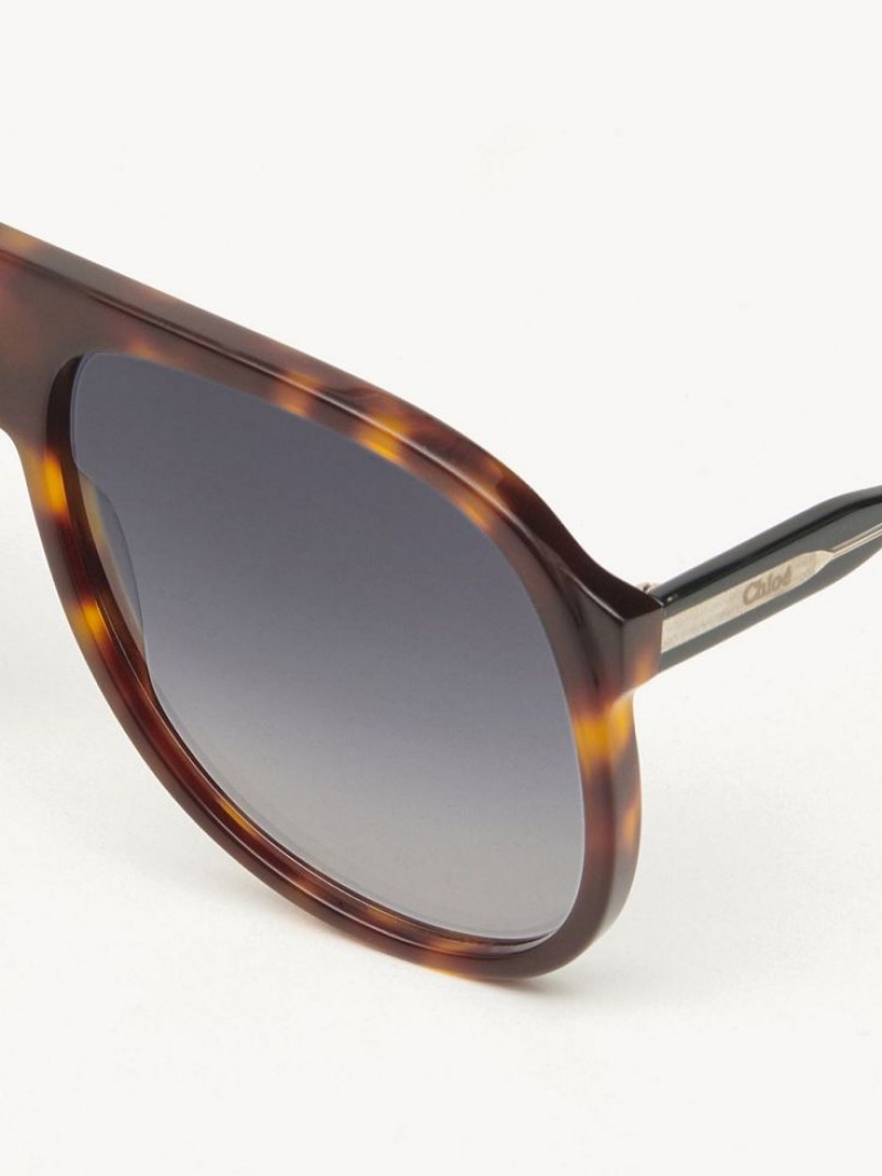 Lentes de Sol Chloe Dannie Negros | CHE-SR14569