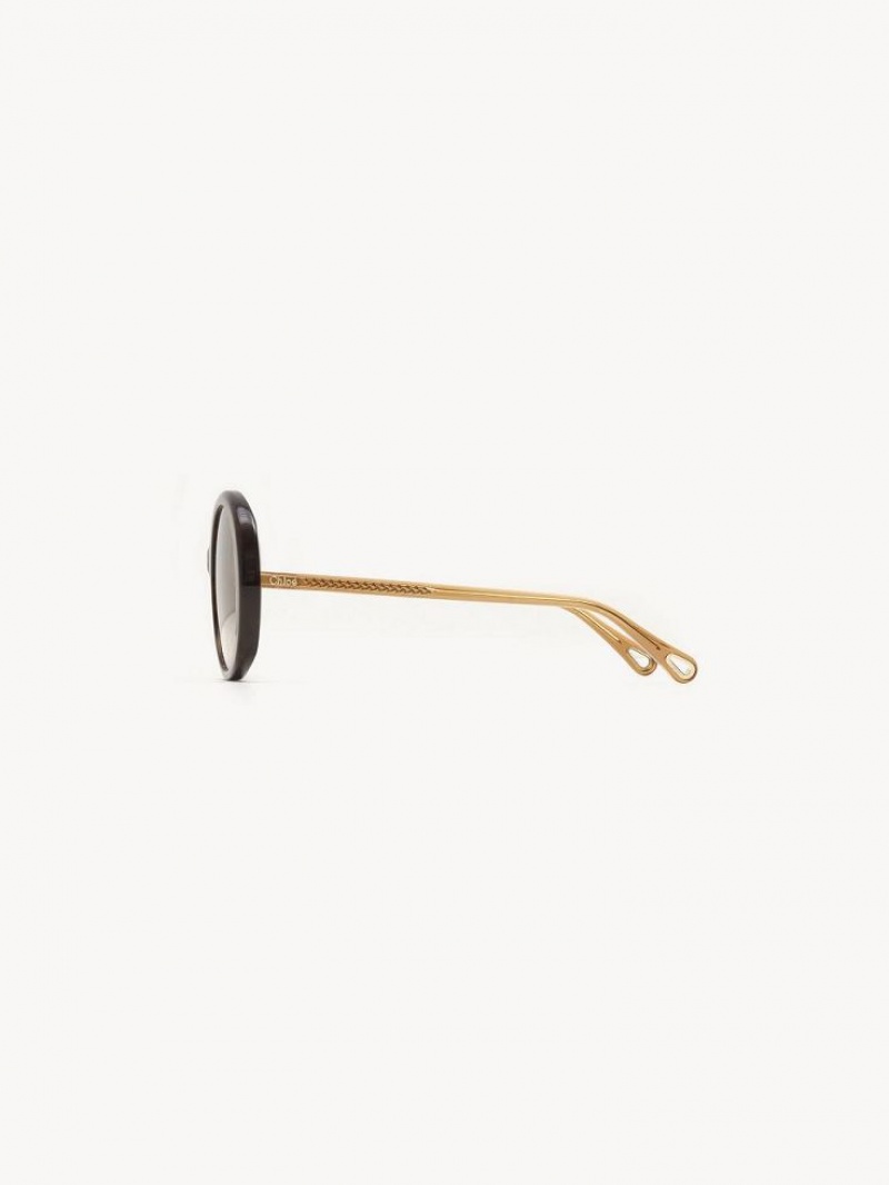 Lentes de Sol Chloe Esther Marrom | CHE-SR14529