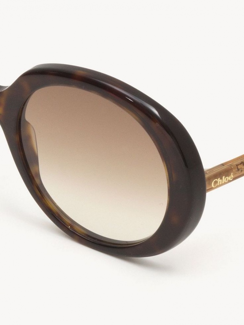 Lentes de Sol Chloe Esther Marrom | CHE-SR14529