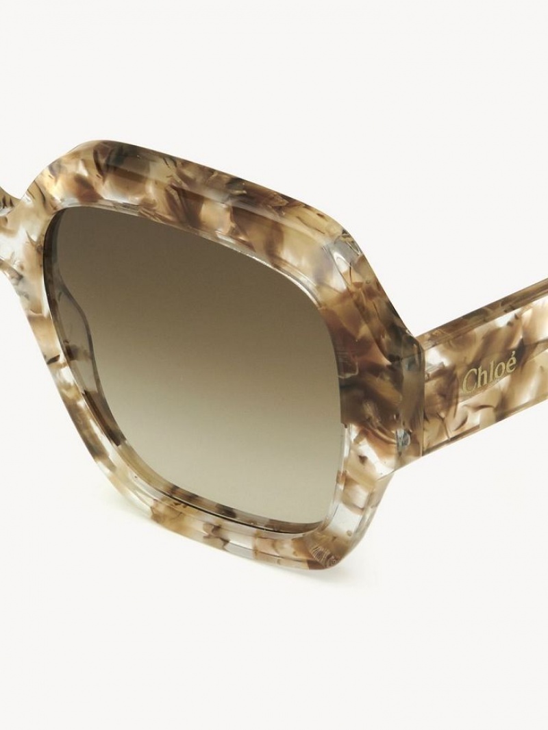 Lentes de Sol Chloe Gayia Marrom | CHE-SR14575