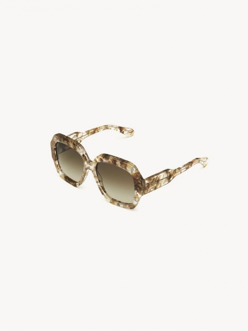 Lentes de Sol Chloe Gayia Marrom | CHE-SR14575