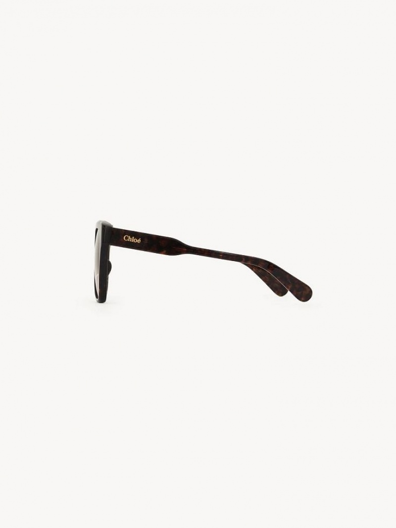 Lentes de Sol Chloe Gayia Negros | CHE-SR14571