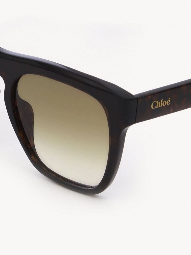 Lentes de Sol Chloe Gayia Negros | CHE-SR14571