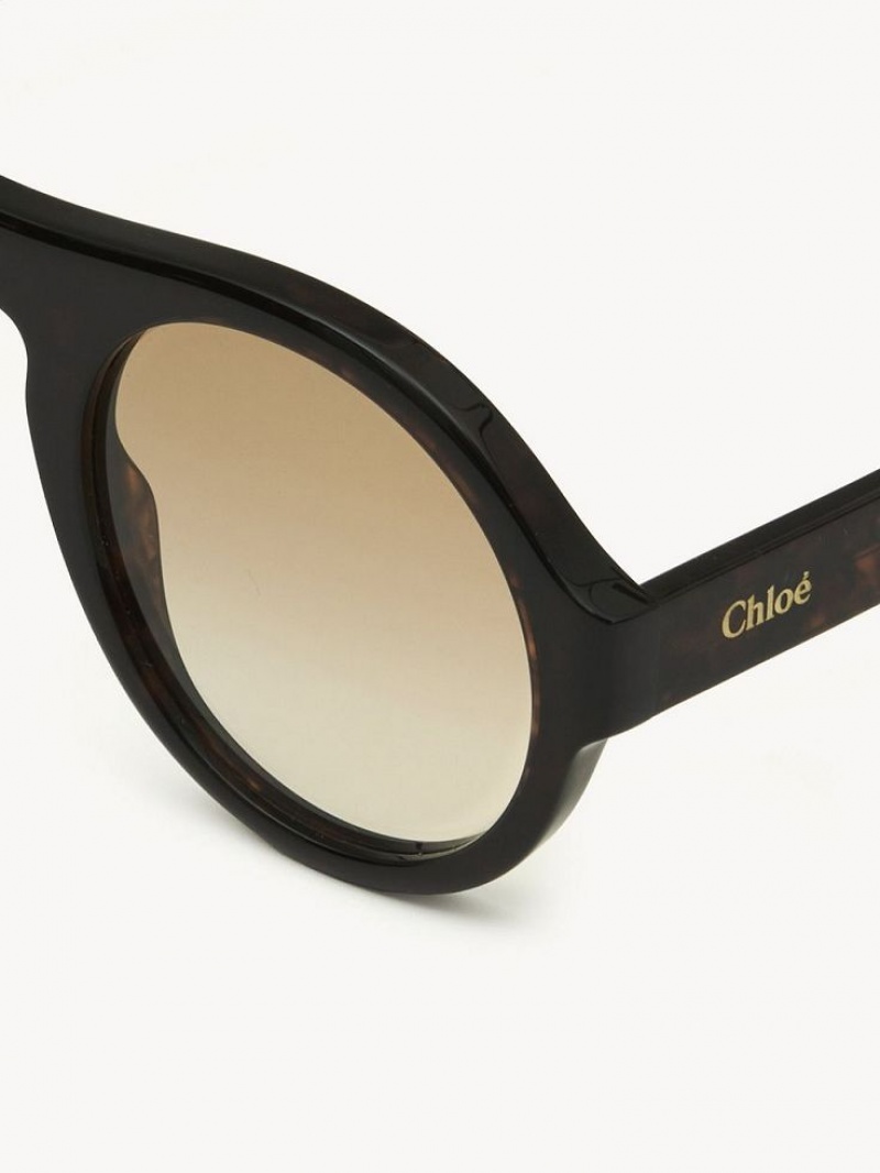 Lentes de Sol Chloe Gayia Negros | CHE-SR14572