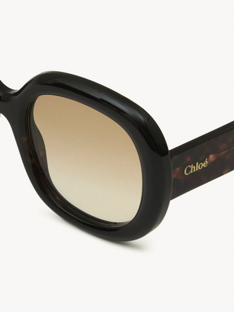 Lentes de Sol Chloe Gayia Negros | CHE-SR14574