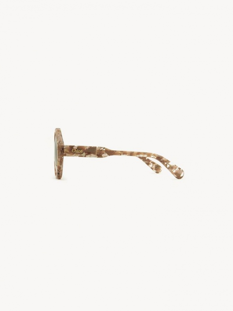 Lentes de Sol Chloe Gayia Rosas Beige | CHE-SR14573
