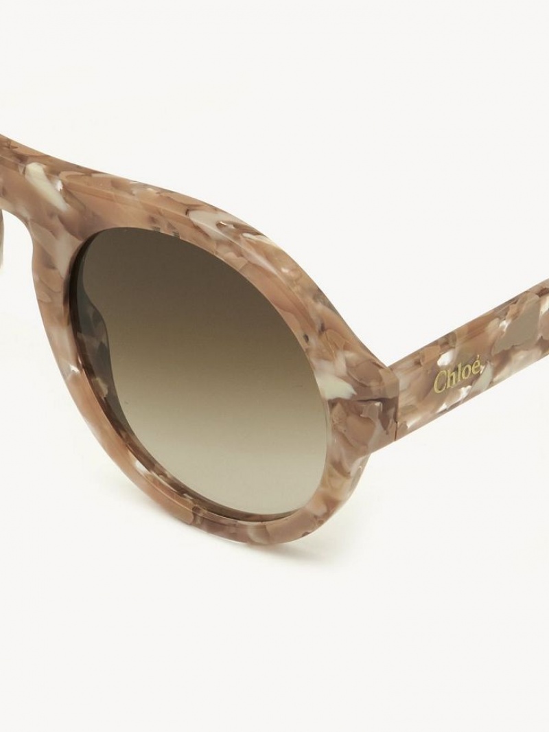 Lentes de Sol Chloe Gayia Rosas Beige | CHE-SR14573