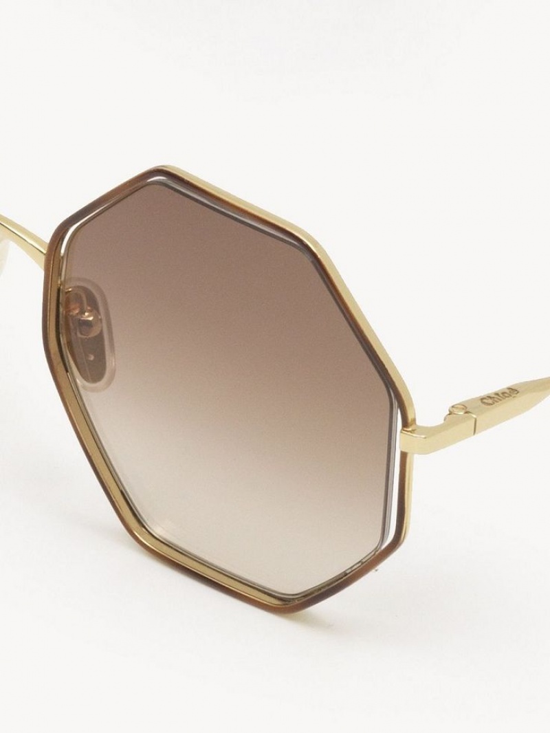 Lentes de Sol Chloe Poppy Petite Marrom | CHE-SR14545